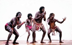 the-stars-look-good-on-you:  Hey Aussies, don’t forget the traditional owners of our land. Happy blackout day!