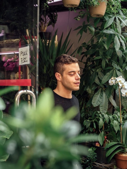 theonewiththevows:Rami Malek: Buzzfeed News Photoshoot (HQ)