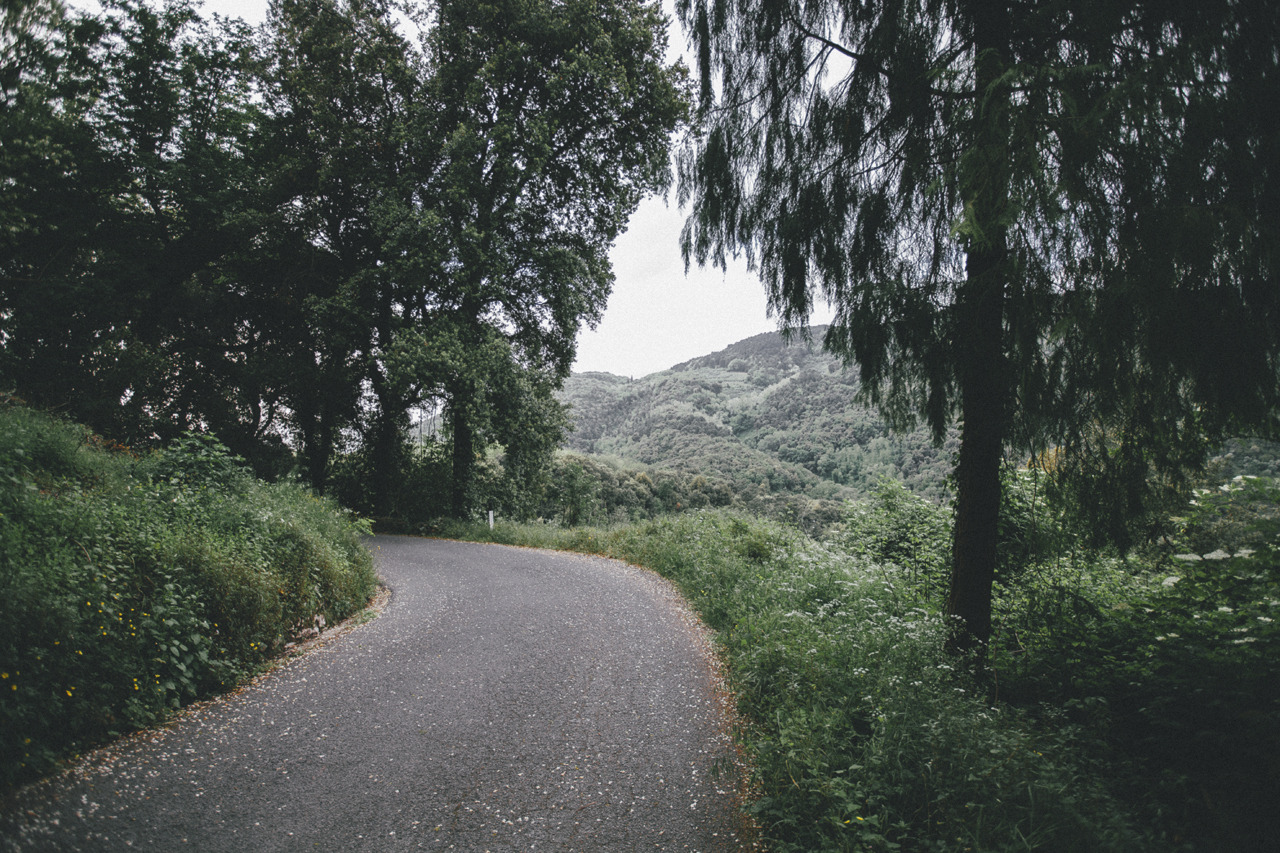 elenamorelli:  { the road to the nearest hill } 