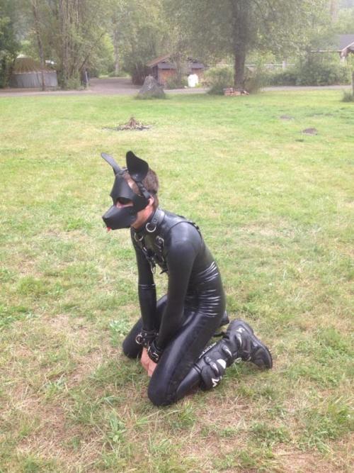 Sex divepup:  Was a dawg out playing in the woods pictures