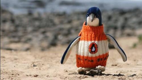 beyondthetaffrail:#PENGUIN BOOKS PENGUIN SWEATER WORN BY A PENGUIN