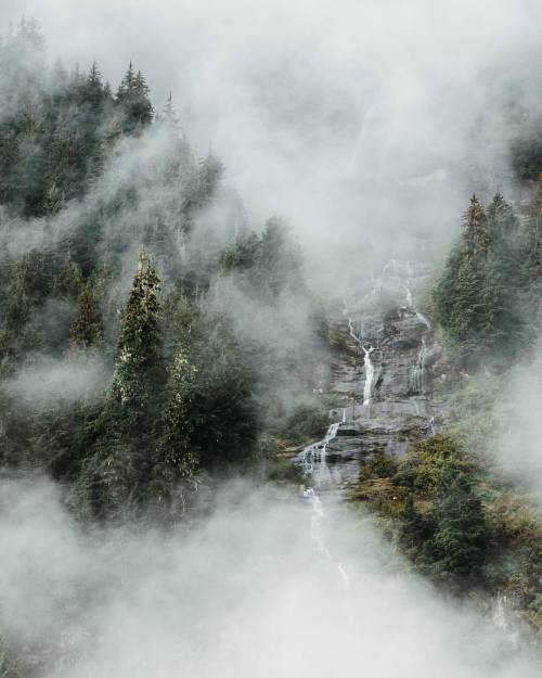 mikeseehagelsquares: Nothing quite like the low cloud hanging in the trees.