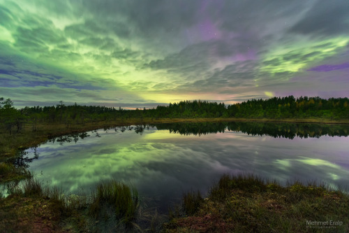 XXX radivs:  Northern Lights and Clouds  1 | photo