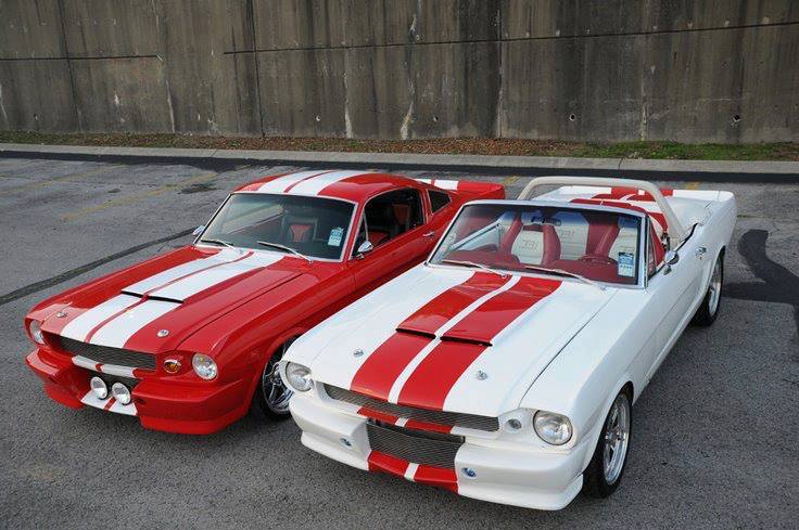 Mustangs galore