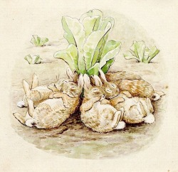 nature-and-culture:Happy Easter with Beatrix Potter, via britishmuseum