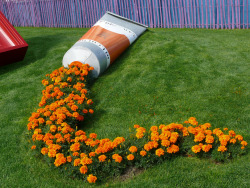 sixpenceee:  While walking through a public park in Boulogne-sur-Mer, France photographer Steve Hughes stumbled onto this fun installation of marigolds spilling from a giant paint tube. He says it was also accompanied by a large picture frame that was