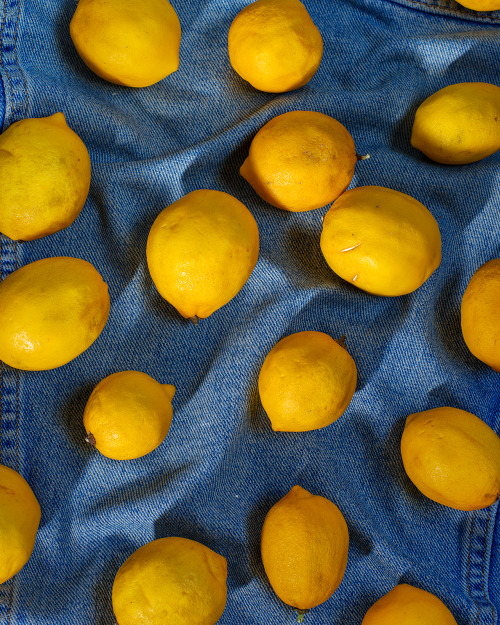 coreyolsen: Lemons from Devra, 2016