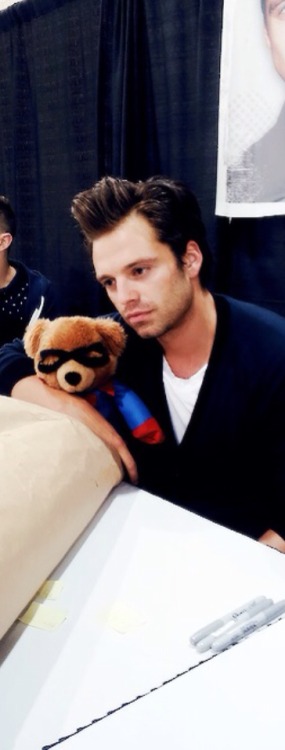 buckybarneswho:SebStan + Bucky bears/stuffed animals