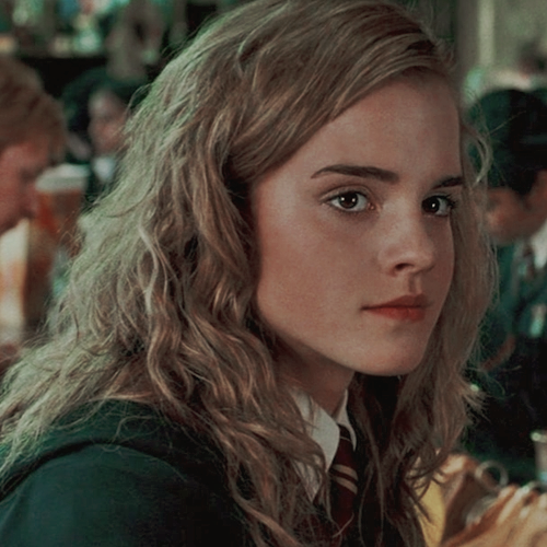 girlsdit: “you’re the cleverest witch of your age i’ve ever met, hermione.” 