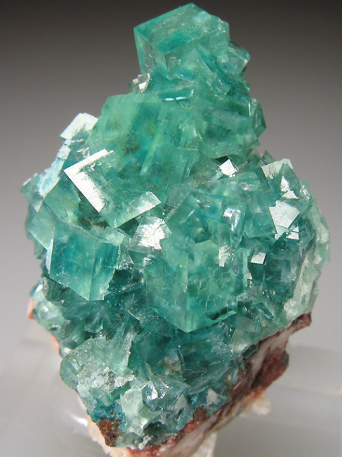 mineralists:  Cuprian Smithsonite from Tsumeb with gemmy blue/green cubesTsumeb Mine, Namibia