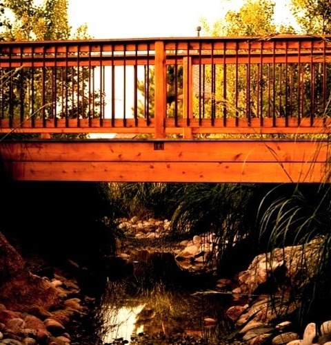 Traditional Landscape In DenverDesign Ideas For A Mid-sized Traditional Partial Sun Backyard Garden Path