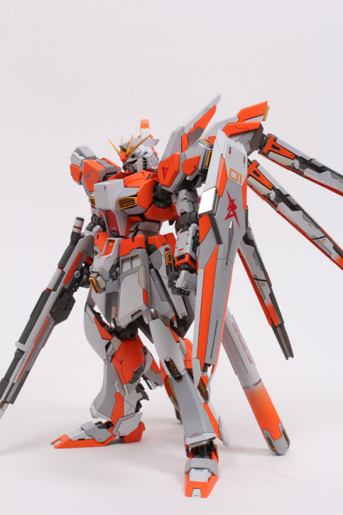 gunjap:  HOKDOM’s Mixing Build 1/100 Hi-Nu adult photos