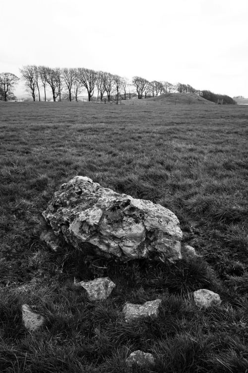 Gib Hill Barrow, Derbyshire, 30.4.16. The monument is distinctive in that the initial Neolithic oval