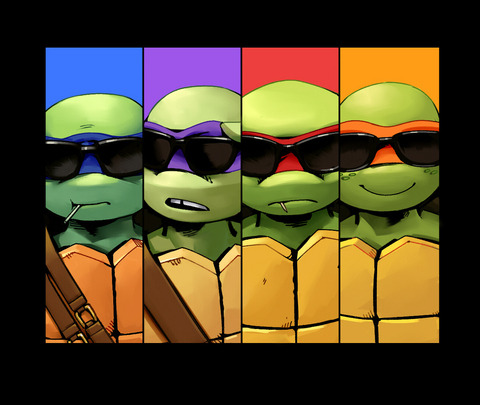 annym3:Reservoir Turtles 46428081 九该