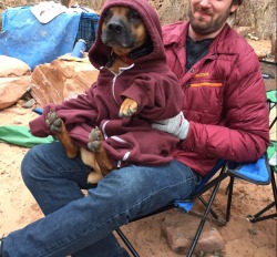 awwww-cute:  Dillinger got cold while camping so Dad took care of it