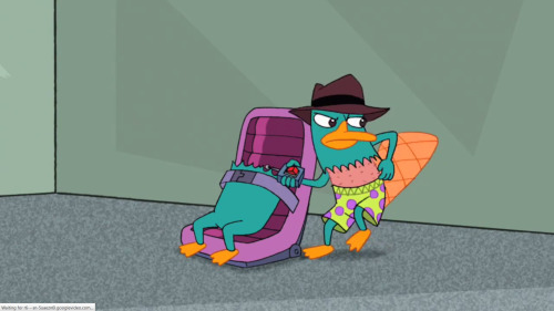 Perry the Platypus from Phineas and Ferb episode “Unfair Science Fair.” In this episode, Perry escapes Dr. Doofenshmirtz’s trap by jumping out of his fur and exposing his boxers to the viewers. Then, he runs off after Doofenshmirtz in his undies.