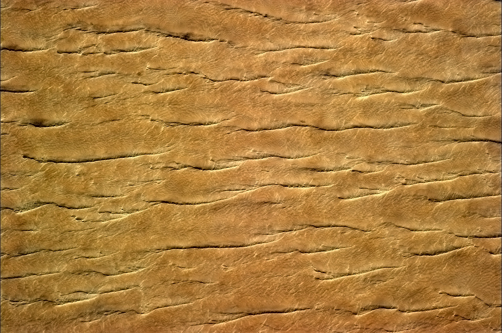 colchrishadfield:  The dry folded skin of the Sahara desert, looking like the crust