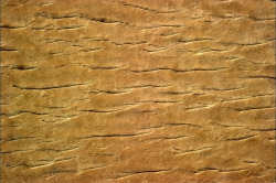 Colchrishadfield:  The Dry Folded Skin Of The Sahara Desert, Looking Like The Crust