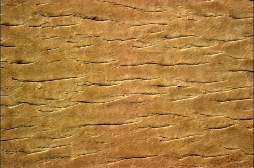 colchrishadfield:  The dry folded skin of the Sahara desert, looking like the crust of a pie. 