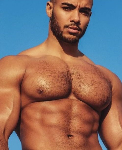 Packed Pecs