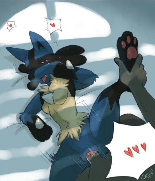 XXX pokephillaplace:  Requested by @hornylucario photo