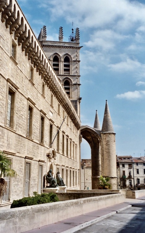 Faculté de médecine avec porche et tour de la cathédrale, Montpellier, 2005.The