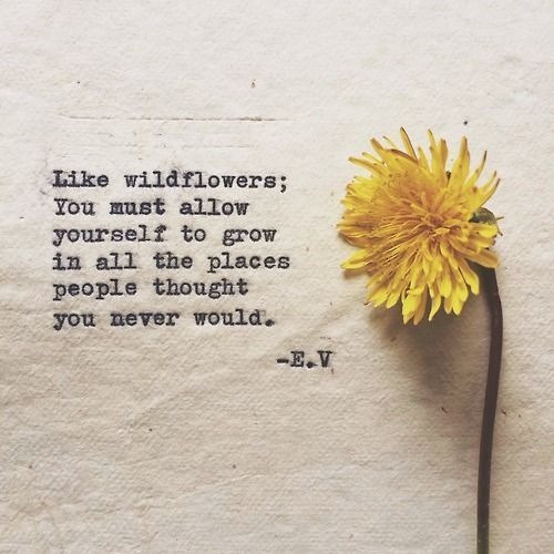 mostbeautifulquotes:  The Most Beautiful Love Quotes  ✨