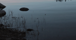 tumblr_pbezn8QJRg1qan9upo3_400.gifv