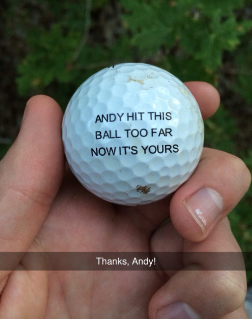 tastefullyoffensive:  (photo via vikingfruit)