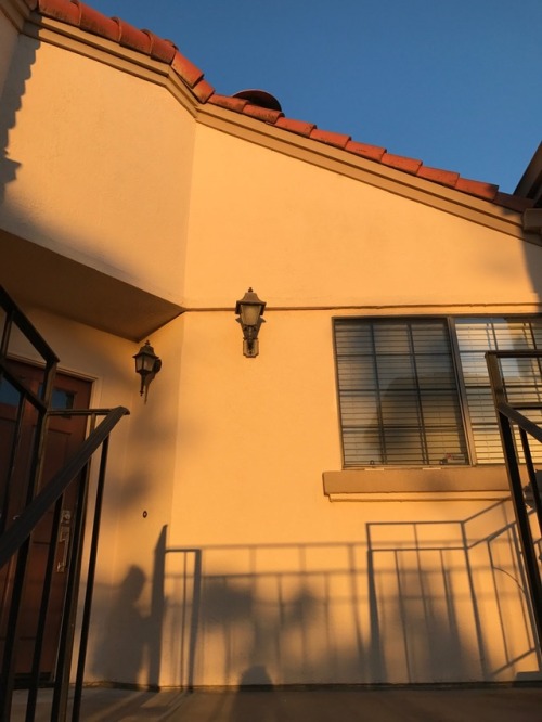 tukiiko:golden hour✨