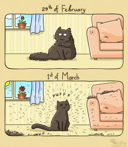 catsbeaversandducks:The One About Spring Oh, the spring shedding!  By ©Catsu The Cat