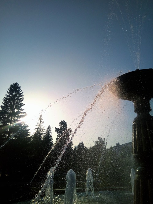.City Fountain In The Rays Of The Setting Sun.