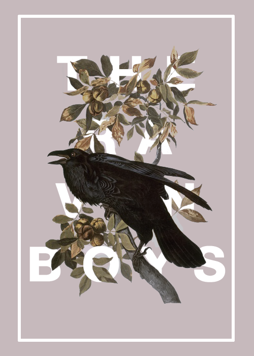 lushcola: T H E   R A V E N   C Y C L E  by maggie stiefvater the raven boys  &n