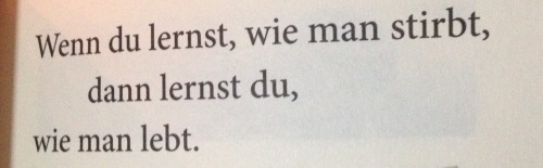 klippensturz:Wenn du lernst, wie man stirbt, dann lernst du, wie man lebt.  - ( klippensturz )