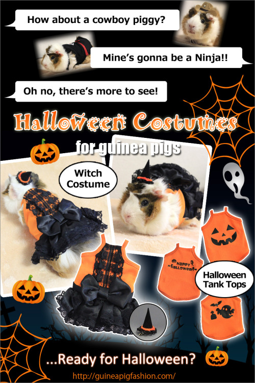 Halloween Costumes now available on Guinea Pig Fashion! Come and visit our website to see the specia