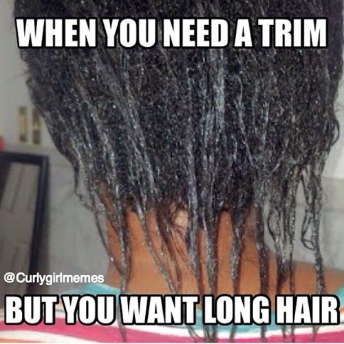 Oh lawd! @curlygirlmemes #2frochicks #GoNaturAl #healthyhair