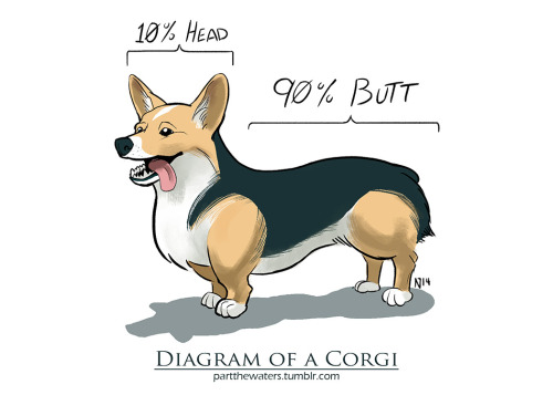 tastefullyoffensive: Diagram of a Corgi 