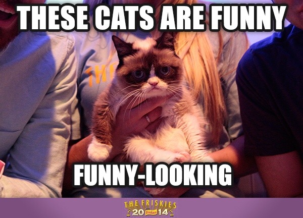 I can’t believe I wasted my precious time watching #TheFriskies compilation video. Now you must waste you and your friends’...