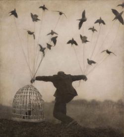 F-L-E-U-R-D-E-L-Y-S:  Asylum-Art:  Robert And Shana Parkeharrison  The Surreal World