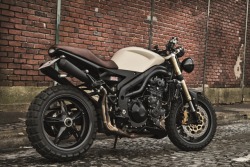 rhubarbes:  Speed triple « edition vintage »