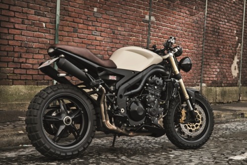rhubarbes:  Speed triple « edition vintage » porn pictures