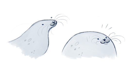 garnetdawn:  i love that seals can just  