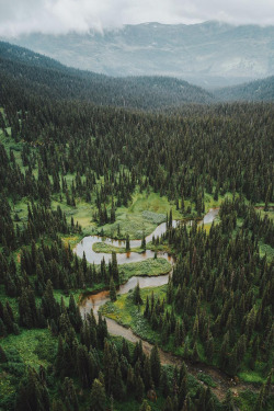 banshy:  Tumbler Ridge // Mike Seehagel 