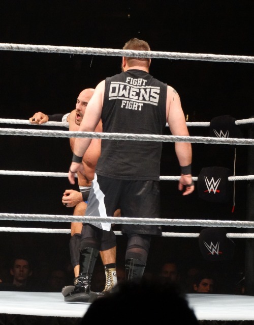 mindthegraveltrap: WWE Live Melbourne - 7 August 2015 - Part Six Cesaro & Kevin Owens 