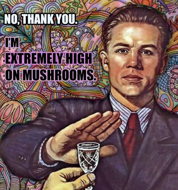lordofthegrave:  i wish 