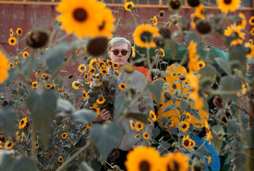 “ Andy Warhol in Flushing, Queens, amid black-eyed Susans near the 1964 World’s Fair, with a freshly completed Flowers painting in the background. CreditWilliam John Kennedy/KIWI Arts Group
”