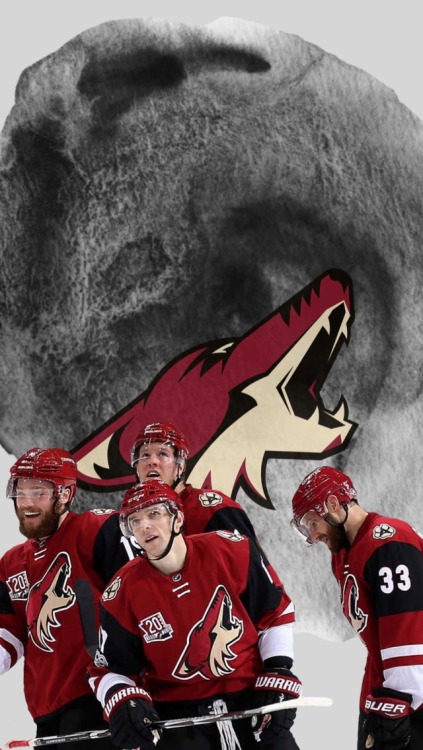 Arizona Coyotes /requested by anonymous/
