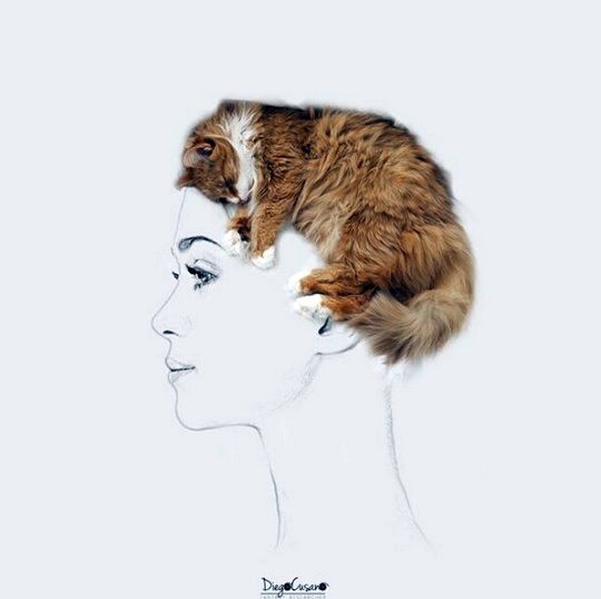 crossconnectmag:    Food and Everyday Objects Turned into Whimsical Illustrations