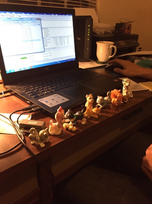 My poor grown up was just trying to do work…