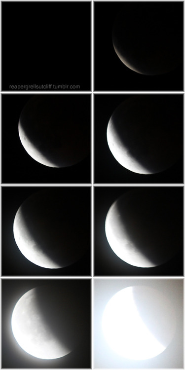 reapergrellsutcliff:  Some photos I took of the lunar eclipse tonight, before I got too cold and had to go back inside.